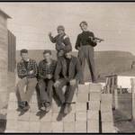 bræður og frændur