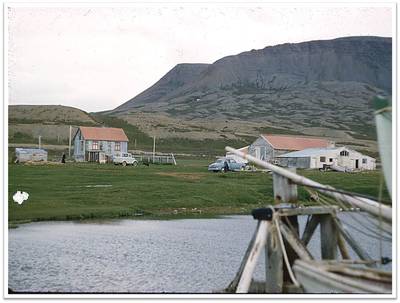 Lónkok þá 