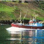 Útgerðin á Hofsósi 29