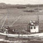 Útgerðin á Hofsósi 41