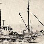 Útgerðin á Hofsósi 42