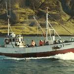 Útgerðin á Hofsósi 43