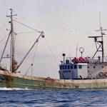 Útgerðin á Hofsósi 46