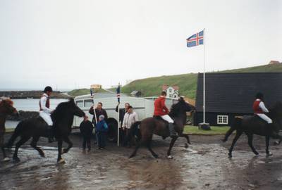 Svaði