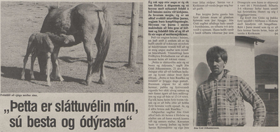 Sláttuvélin mín, sú besta og ódýrasta