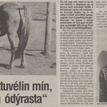 Sláttuvélin mín, sú besta og ódýrasta